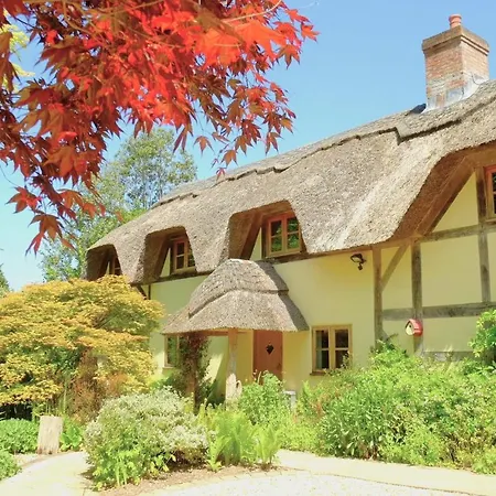 The Cottage, Beautiful New Forest 5 Bedroom Thatched Cottage Breamore Exterior photo