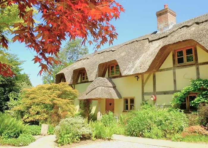 The Cottage, Beautiful New Forest 5 Bedroom Thatched Cottage